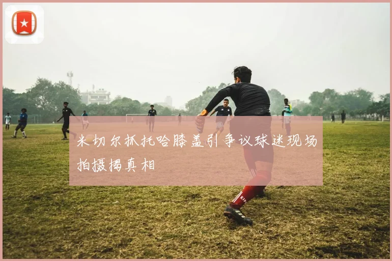 米切尔抓托哈膝盖引争议球迷现场拍摄揭真相