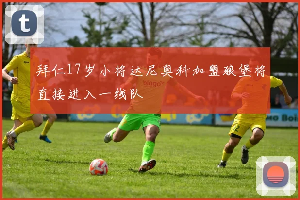 拜仁17岁小将达尼奥科加盟狼堡将直接进入一线队